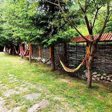 Cabana Frasin Dragoslavele Exteriör bild