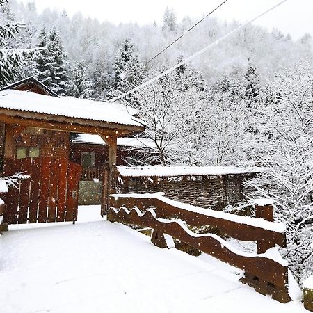 Cabana Frasin Dragoslavele Exteriör bild