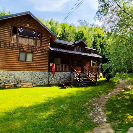 Cabana Frasin Dragoslavele Exteriör bild