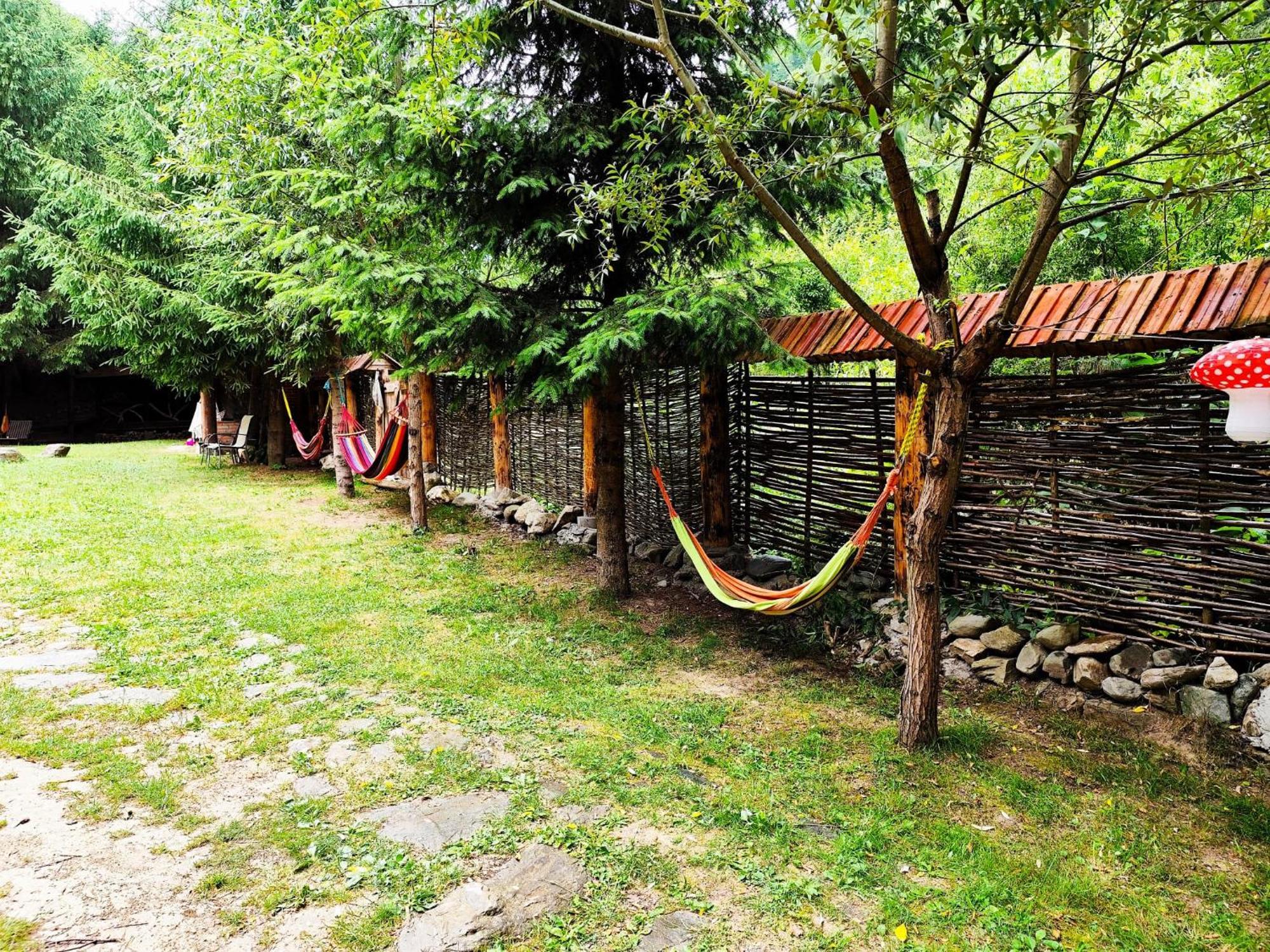 Cabana Frasin Dragoslavele Exteriör bild