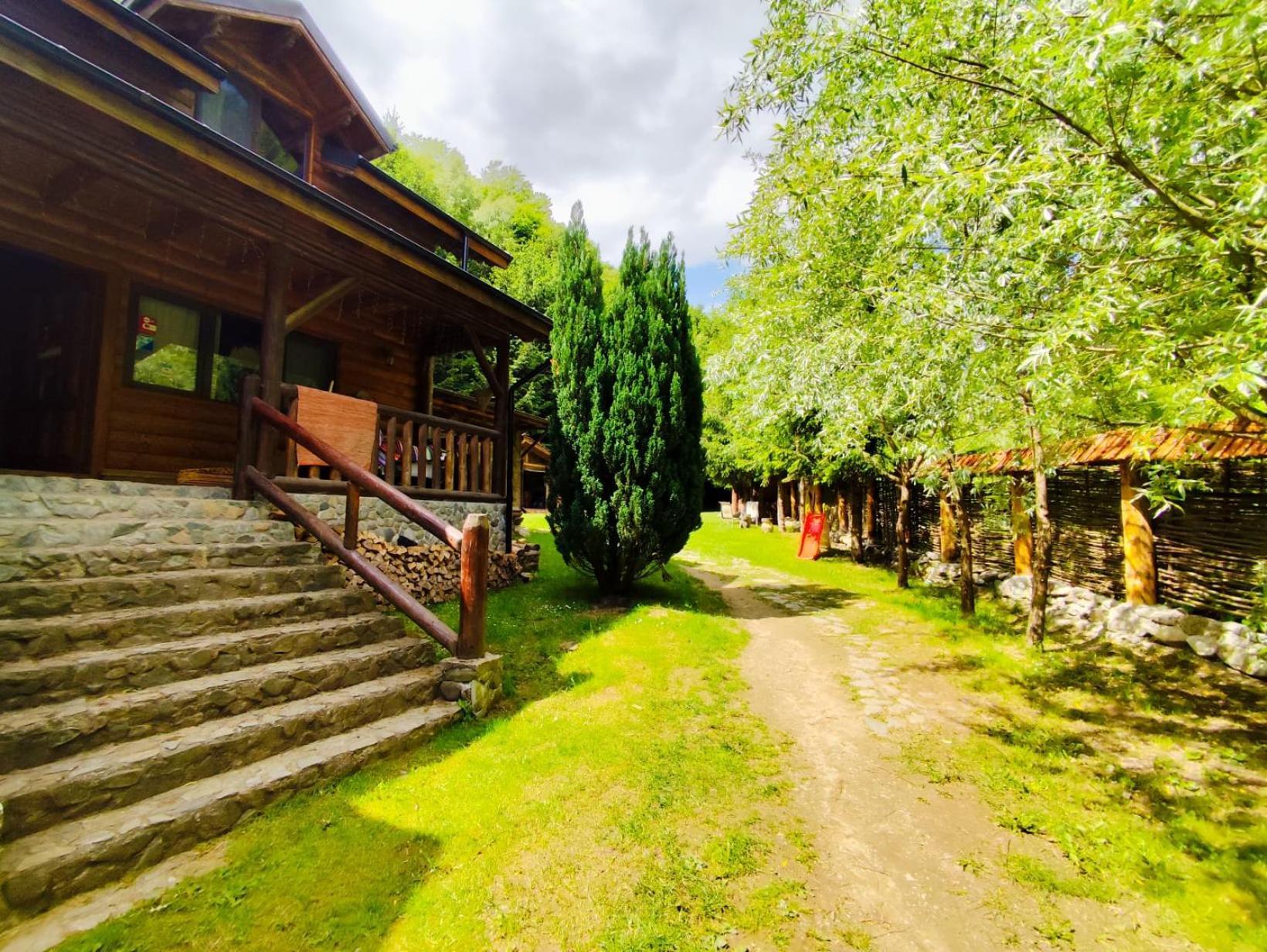 Cabana Frasin Dragoslavele Exteriör bild
