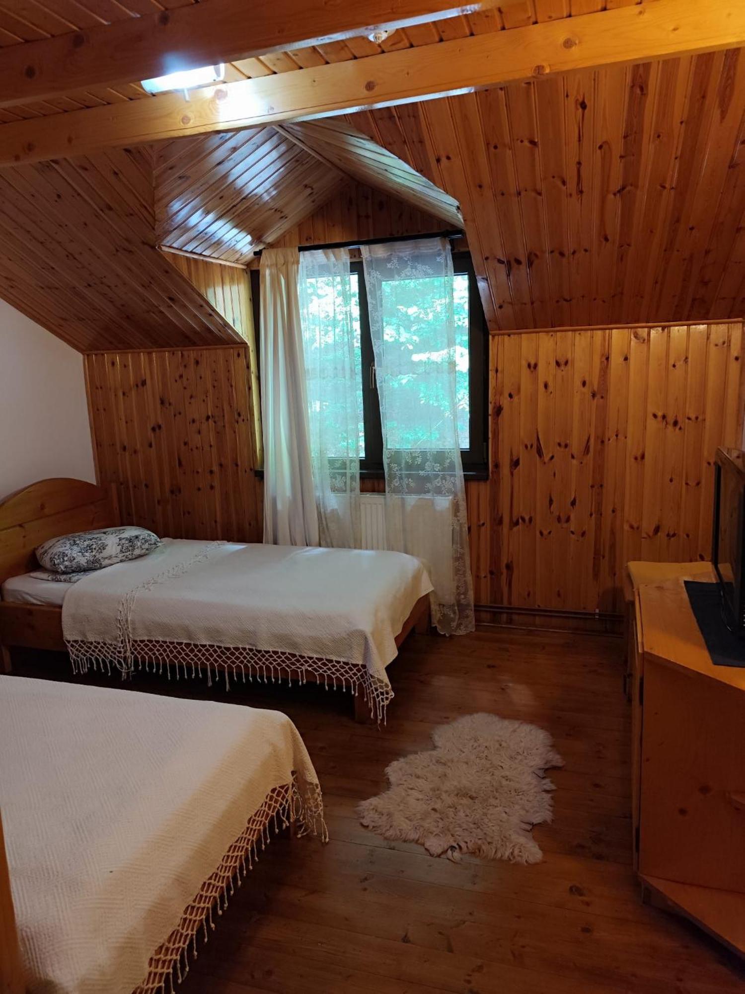 Cabana Frasin Dragoslavele Exteriör bild