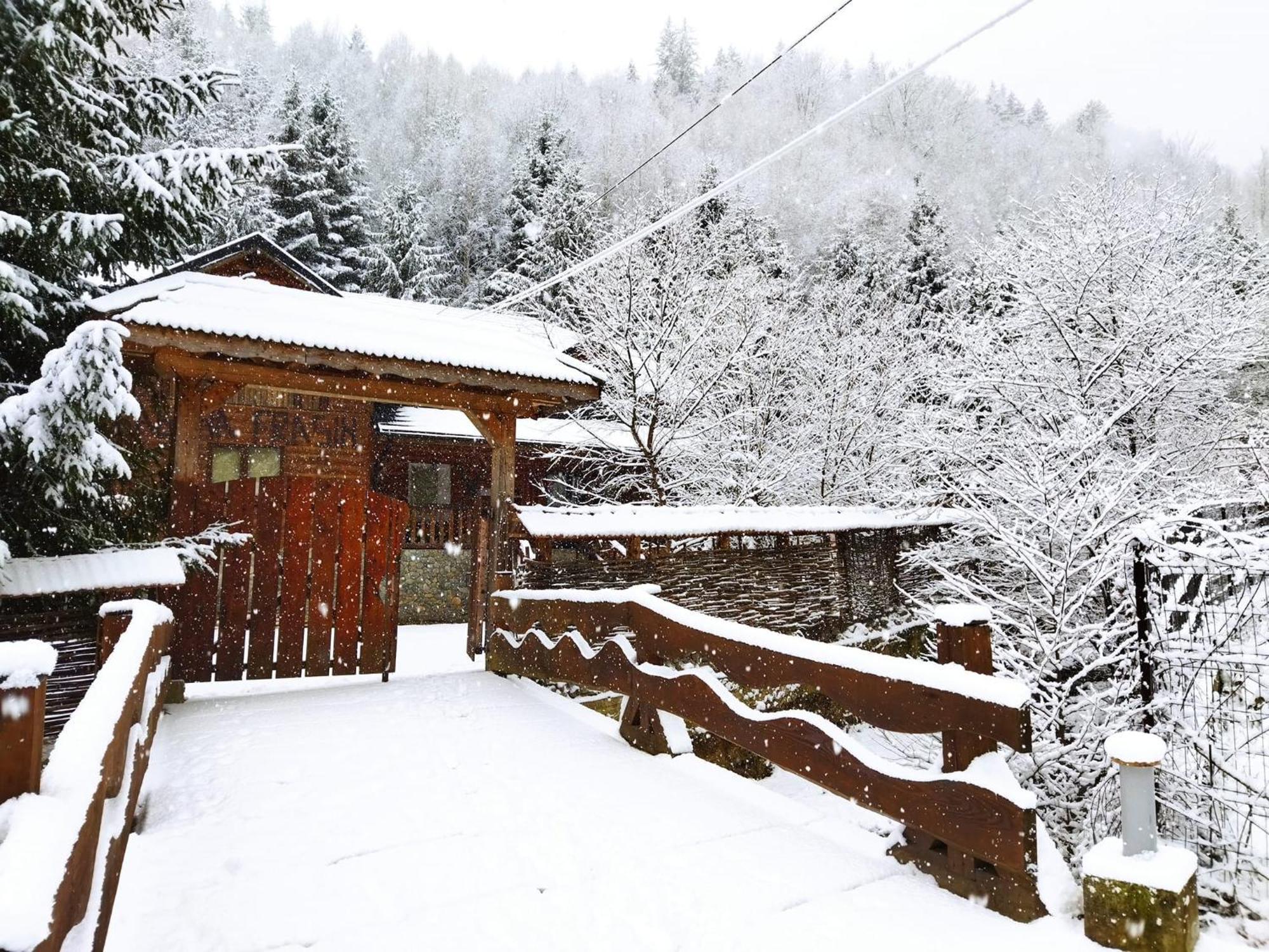 Cabana Frasin Dragoslavele Exteriör bild