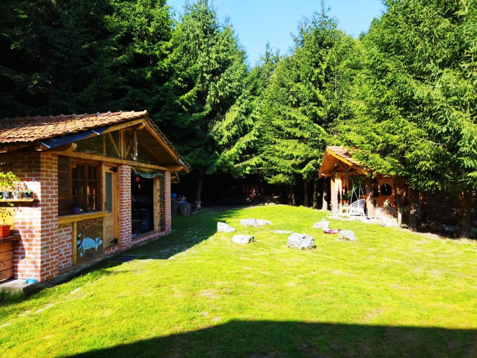 Cabana Frasin Dragoslavele Exteriör bild