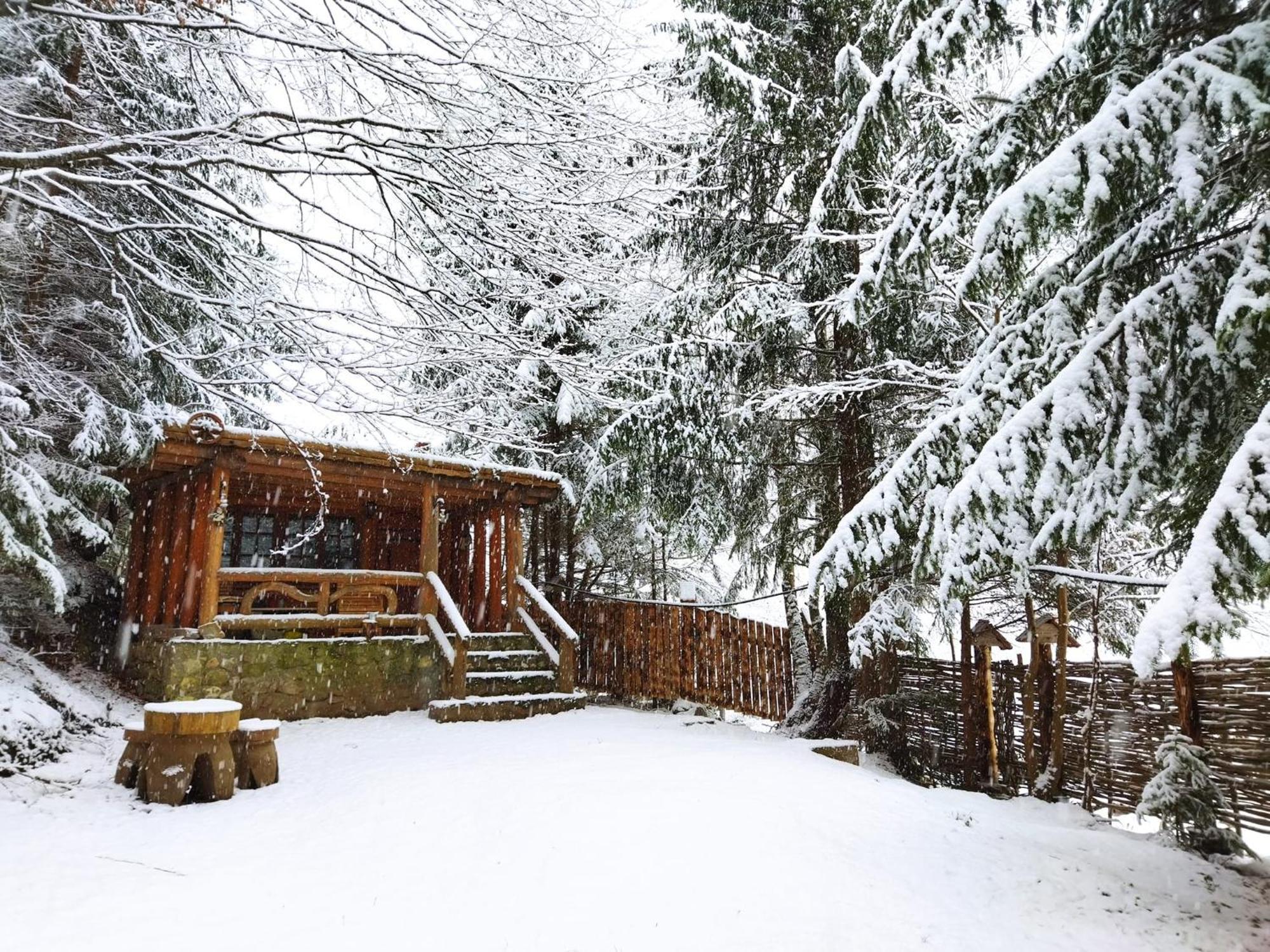 Cabana Frasin Dragoslavele Exteriör bild